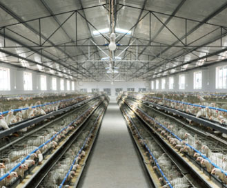 香蕉视频APP入口防腐鋼塑板