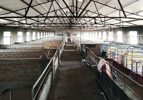 香蕉视频APP入口覆膜瓦欧美黄色香蕉视频之新沂養殖場